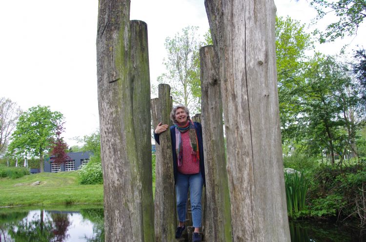 Een rij rechtopstaande palen in een vijver vormt een avontuurlijke oversteekplaats voor wie handig is en zijn evenwicht goed kan bewaren. Een rij rechtopstaande palen in een vijver vormt een avontuurlijke oversteekplaats voor wie handig is en zijn evenwicht goed kan bewaren.