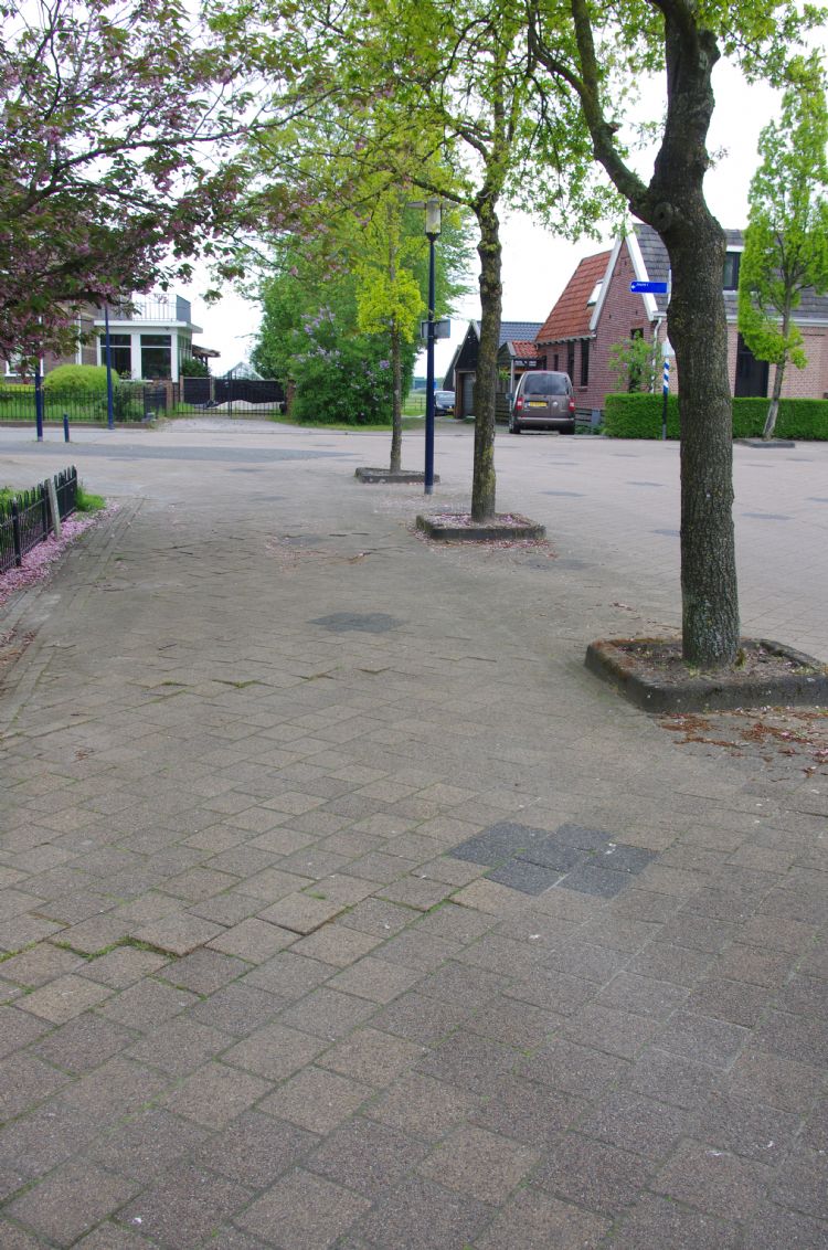 Inwoners van Haskerhorne nemen wortelopdruk voor lief. Inwoners van Haskerhorne nemen wortelopdruk voor lief.