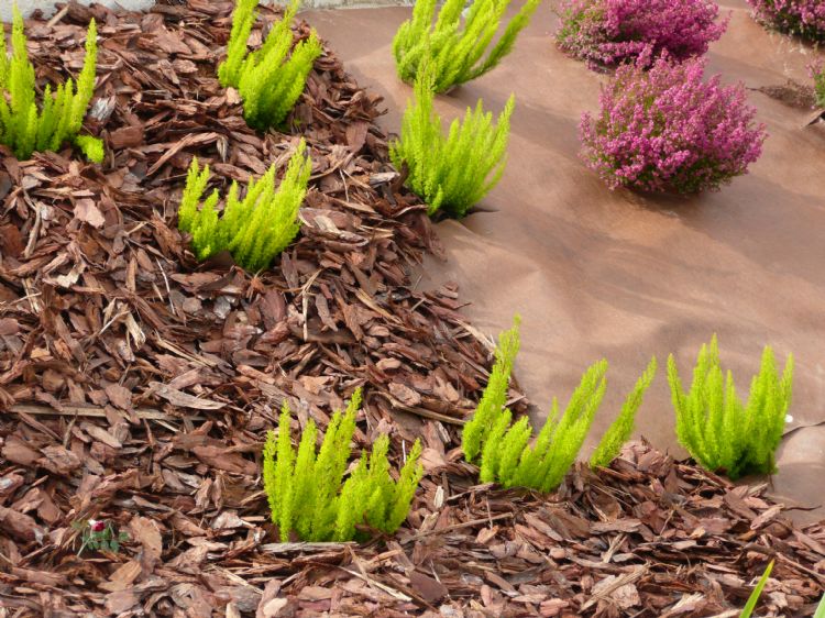 Dupont Plantex Gold. Foto: King Rootbarrier Dupont Plantex Gold. Foto: King Rootbarrier