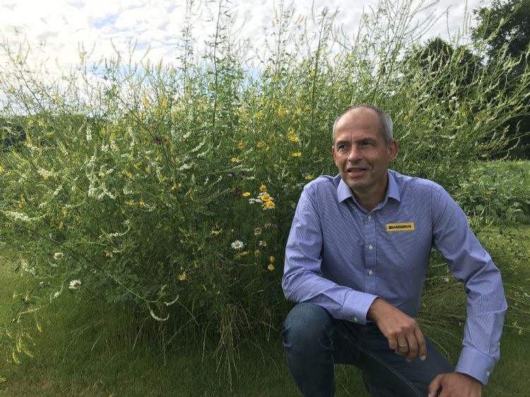 Jan van den Boom: 'Je kunt wel lukraak bloemenmengsels inzaaien voor de biodiversiteit, maar als hierdoor auto's tegen elkaar botsen of in de berm op een betonblok stuiten, schiet je je doel voorbij.' Jan van den Boom: 'Je kunt wel lukraak bloemenmengsels inzaaien voor de biodiversiteit, maar als hierdoor auto's tegen elkaar botsen of in de berm op een betonblok stuiten, schiet je je doel voorbij.'