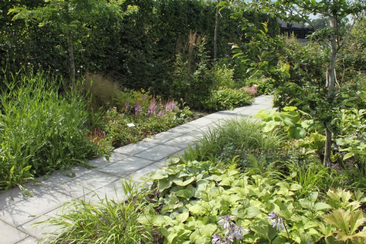 Lageschaar Fleur Dansante, schaduwborders Lageschaar Fleur Dansante, schaduwborders