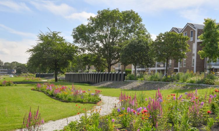 Lageschaar Prairie Garden, projectfoto biodiversiteit Lageschaar Prairie Garden, projectfoto biodiversiteit