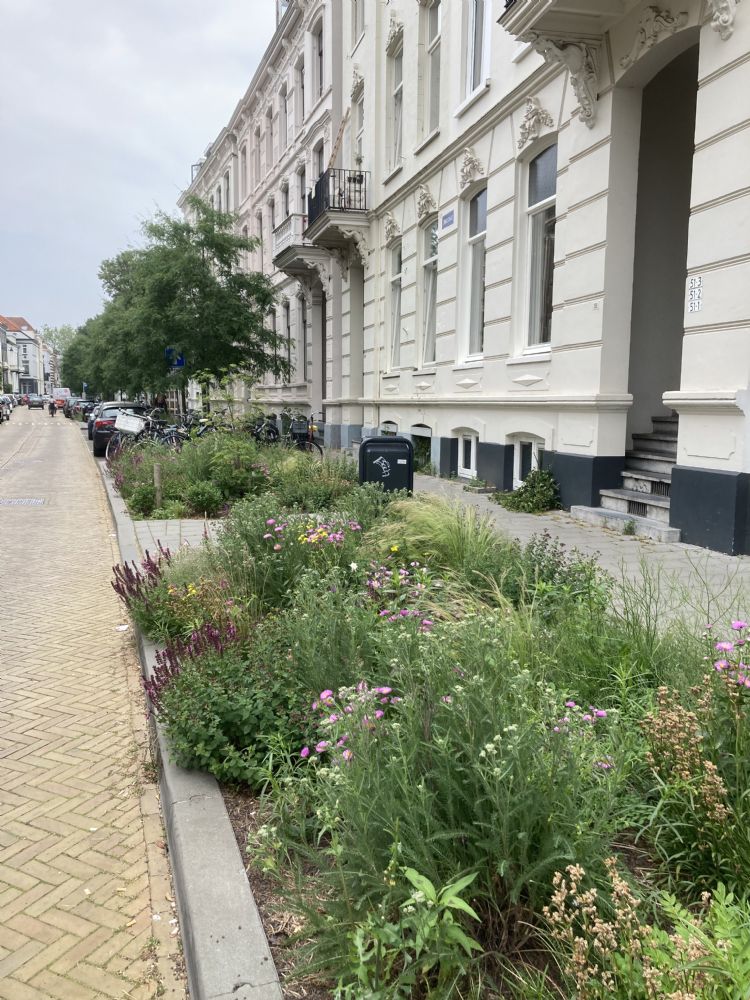 Spijkerkwartier Spijkerkwartier