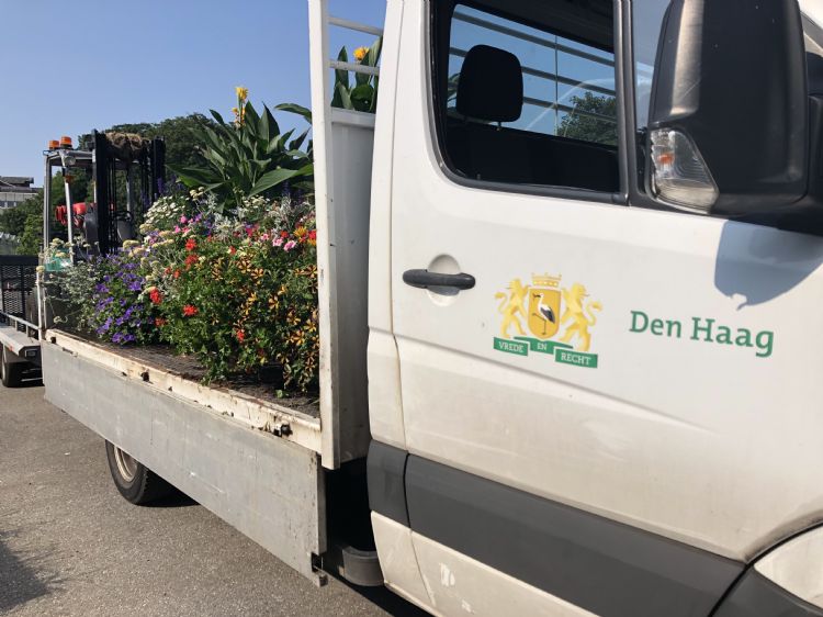 In Den Haag zijn sommige routes van groenbedrijven 25% ingekort dankzij de data van de sensoren. In Den Haag zijn sommige routes van groenbedrijven 25% ingekort dankzij de data van de sensoren.