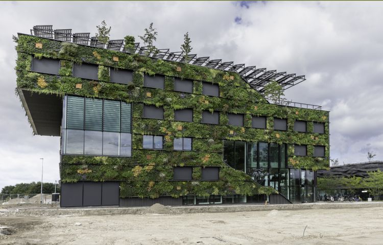 School annex entreegebouw voor de Floriade Expo 2022 (foto: Koninklijke Ginkel Groep, Rob Bakker)