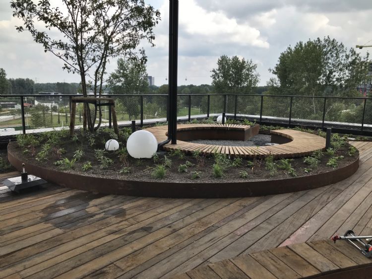 Groenplek met boom, lichtarmaturen en een ronde zitplek van cumaru-hout (foto: Aannemingsmaatschappij Hegeman) Groenplek met boom, lichtarmaturen en een ronde zitplek van cumaru-hout (foto: Aannemingsmaatschappij Hegeman)