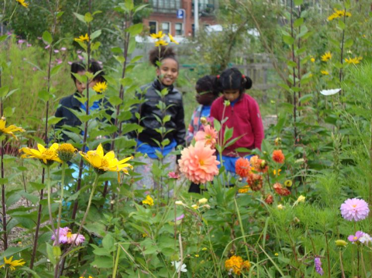 Stadskinderen leren de natuur kennen Stadskinderen leren de natuur kennen