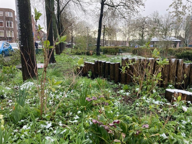 Hoe meer complexiteit in de natuur, hoe beter Hoe meer complexiteit in de natuur, hoe beter