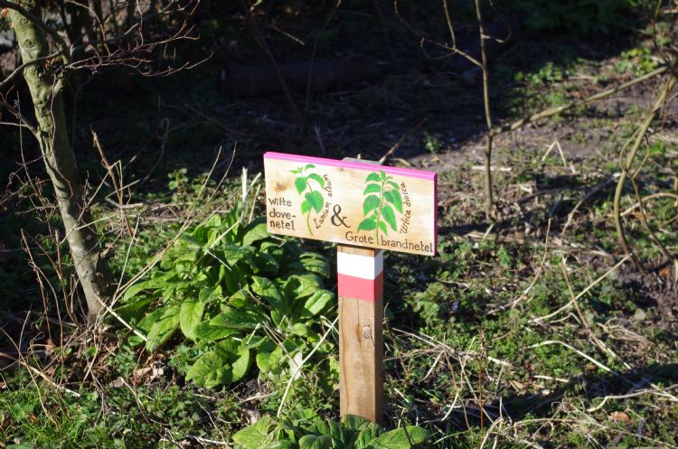 Inheems is geen onkruid Inheems is geen onkruid