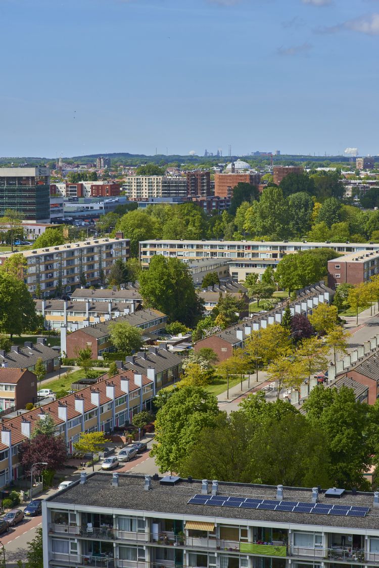 Haarlemmers konden hun inspraakreactie geven op het groenbeleidsplan, waaronder de ontwikkeling 'Stad tussen de bomen' in de wijk Schalkwijk. Haarlemmers konden hun inspraakreactie geven op het groenbeleidsplan, waaronder de ontwikkeling 'Stad tussen de bomen' in de wijk Schalkwijk.