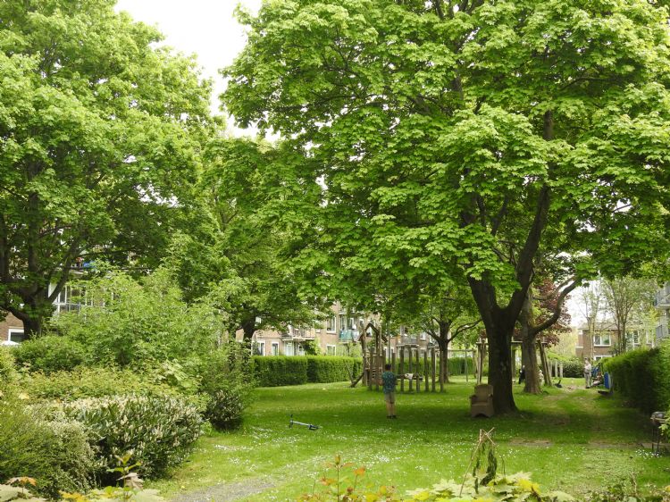 In de wijk Vrijenban liggen tussen de lage flats diverse groene (speel)plekken. De bewoners hebben zicht op grote bomen en de plekken dragen bij aan een groter aantal ontmoetingen. In de wijk Vrijenban liggen tussen de lage flats diverse groene (speel)plekken. De bewoners hebben zicht op grote bomen en de plekken dragen bij aan een groter aantal ontmoetingen.