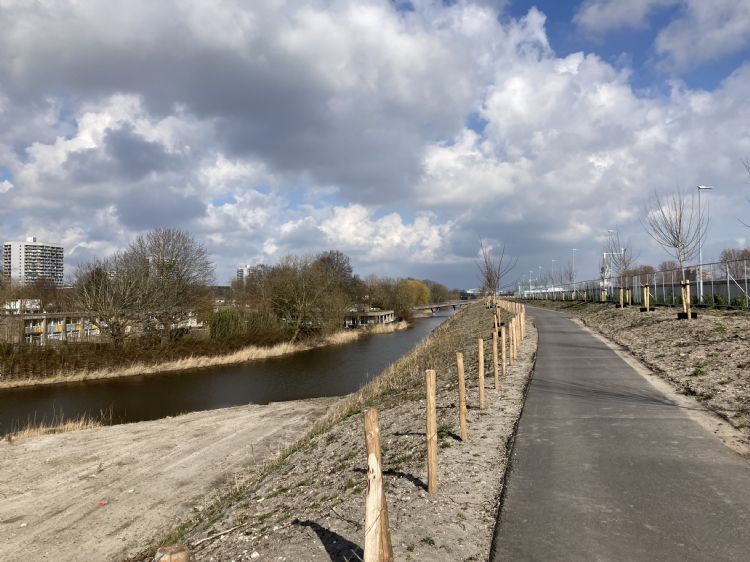 Park en omliggend groen gaan vloeiend in elkaar over. Park en omliggend groen gaan vloeiend in elkaar over.