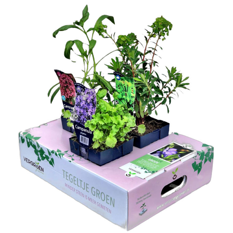 Tegeltje Groen Tegeltje Groen