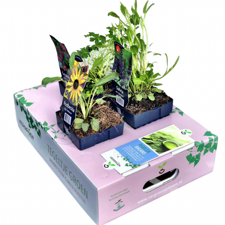 Tegeltje Balans Tegeltje Balans