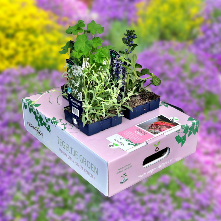 Tegeltje Gemak Tegeltje Gemak