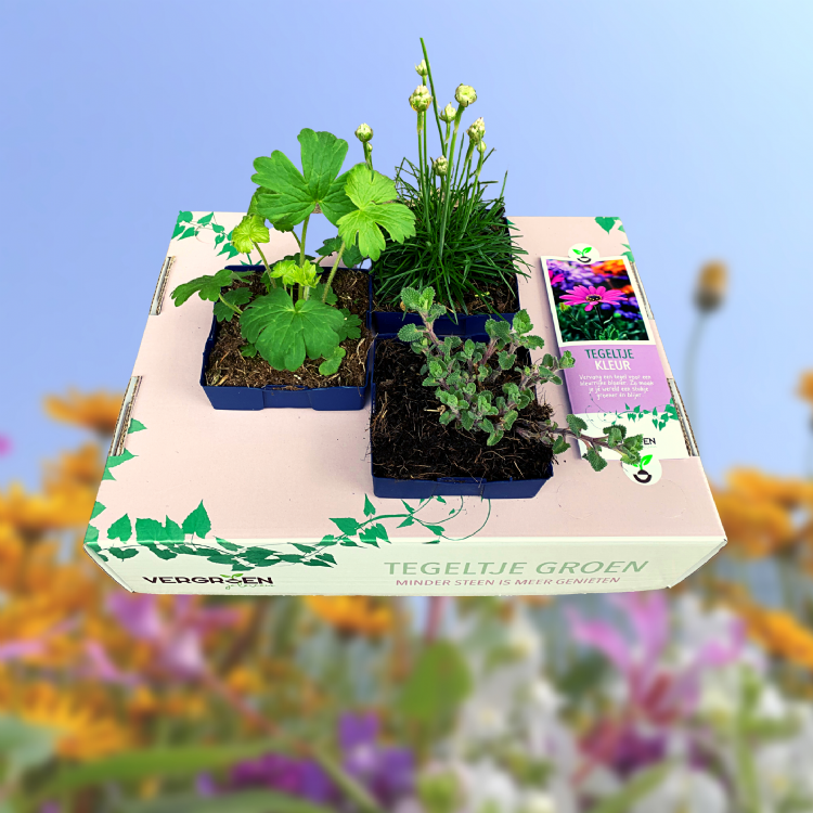 Tegeltje Kleur Tegeltje Kleur