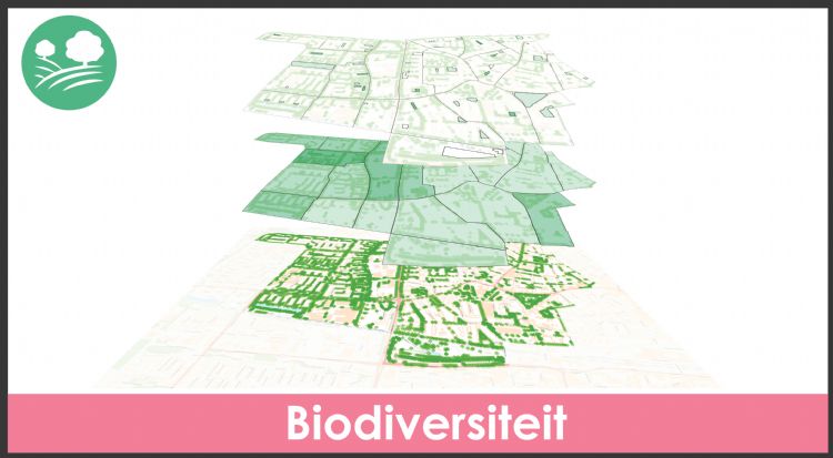 Beeld: www.klimaateffectatlas.nl Beeld: www.klimaateffectatlas.nl