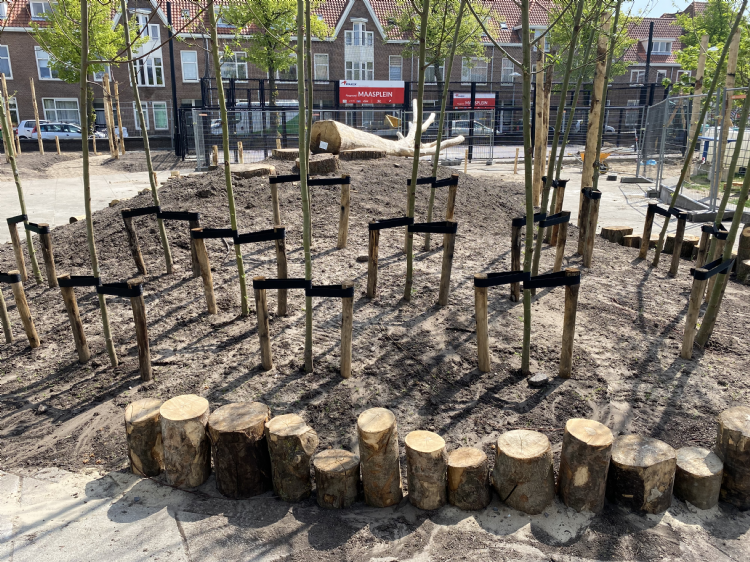 Op het kunstmatig aangelegd heuveltje staan allemaal nieuwe bomen Op het kunstmatig aangelegd heuveltje staan allemaal nieuwe bomen