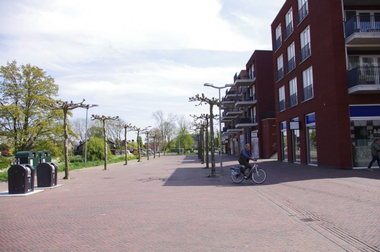 De dakplatanen op de Markt zijn vooral functioneel. De dakplatanen op de Markt zijn vooral functioneel.