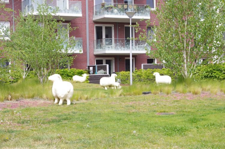 Waar het draagvermogen van de constructie het toelaat, groeien berken Waar het draagvermogen van de constructie het toelaat, groeien berken