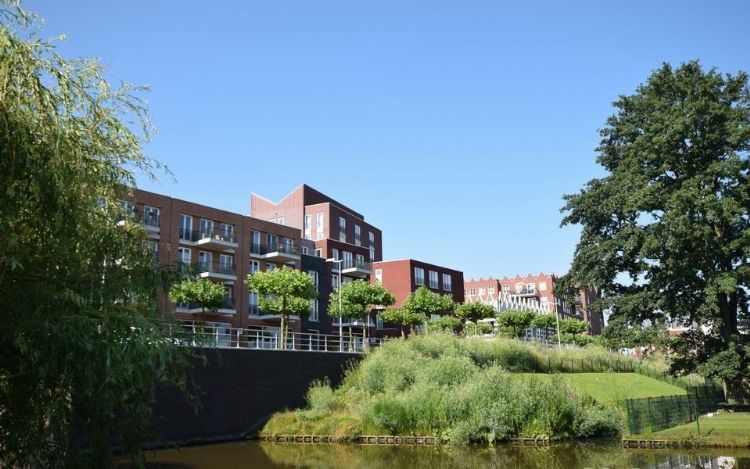 Veel hemelwater wordt meteen afgevoerd naar de grachten. Veel hemelwater wordt meteen afgevoerd naar de grachten.