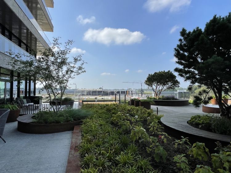 De daktuin is voorzien van grote bomen en struiken De daktuin is voorzien van grote bomen en struiken