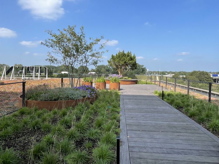 Een grote vlonder wordt omsloten door borders met heesters en vaste planten Een grote vlonder wordt omsloten door borders met heesters en vaste planten