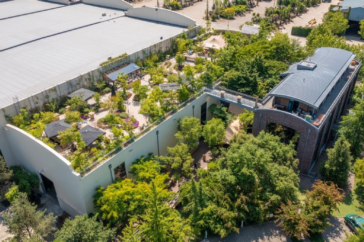 Dak van het Inspyrium in Cuijk Dak van het Inspyrium in Cuijk