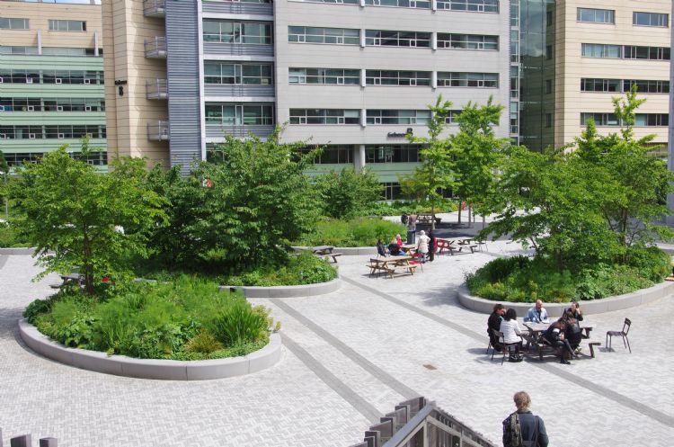 De buitenruimte wordt tijdens de lunchpauzes goed gebruikt. De buitenruimte wordt tijdens de lunchpauzes goed gebruikt.