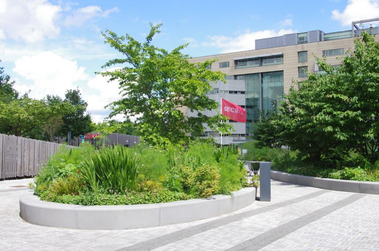Groene eilanden kleden het plein aan, maar laten voldoende ruimte voor straatmeubilair en nooddiensten. Groene eilanden kleden het plein aan, maar laten voldoende ruimte voor straatmeubilair en nooddiensten.