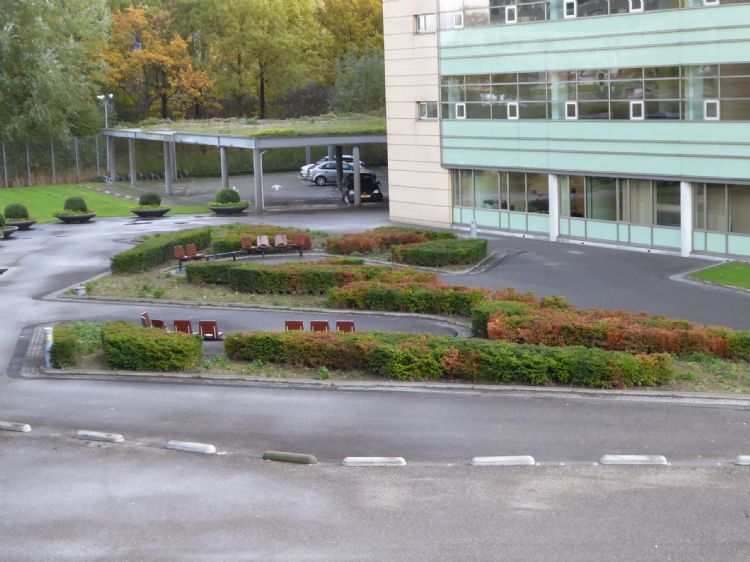 Het Secoya-terrein in 2016: pauzeren op asfalt met varkensruggen en geparkeerde auto's in het zicht. Foto: Rijnboutt Het Secoya-terrein in 2016: pauzeren op asfalt met varkensruggen en geparkeerde auto's in het zicht. Foto: Rijnboutt
