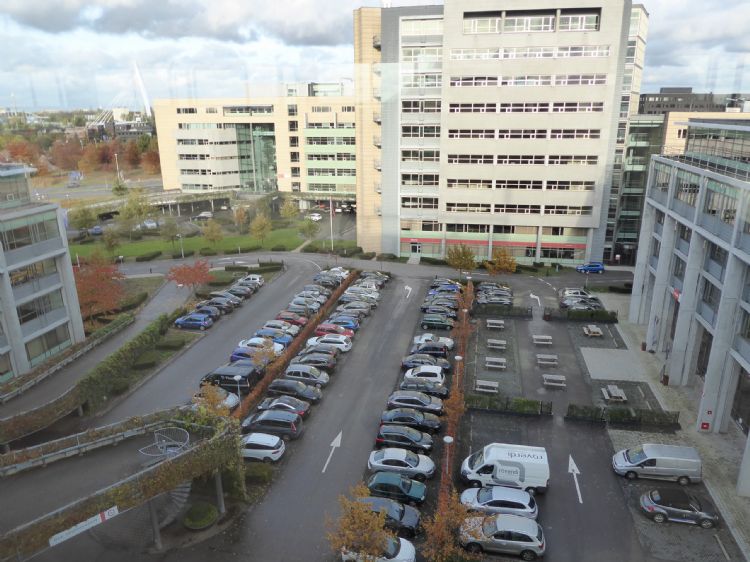 Het Secoya-terrein in 2016: auto's domineren het straatbeeld. Foto: Rijnboutt Het Secoya-terrein in 2016: auto's domineren het straatbeeld. Foto: Rijnboutt