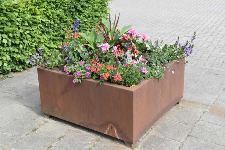 Zomerperkgoed Zomerperkgoed