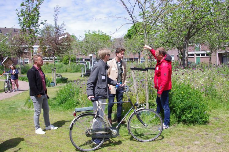 Vijf verschillende Japanse boomsoorten zorgen voor langere bloeitijd en meer biodiversiteit Vijf verschillende Japanse boomsoorten zorgen voor langere bloeitijd en meer biodiversiteit
