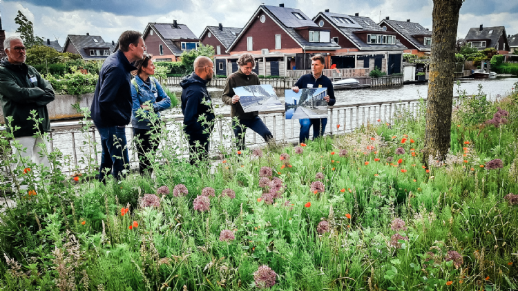 <i>De Bonte Berm</i> staat tot in het najaar in bloei <i>De Bonte Berm</i> staat tot in het najaar in bloei