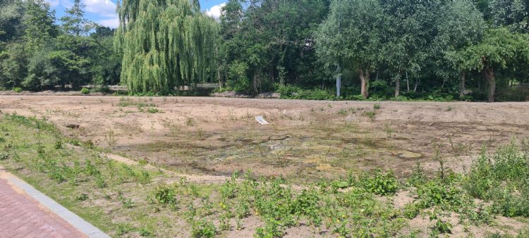 Naast de Oudeweg is een verlaging gecreëerd om hemelwater in af te voeren Naast de Oudeweg is een verlaging gecreëerd om hemelwater in af te voeren
