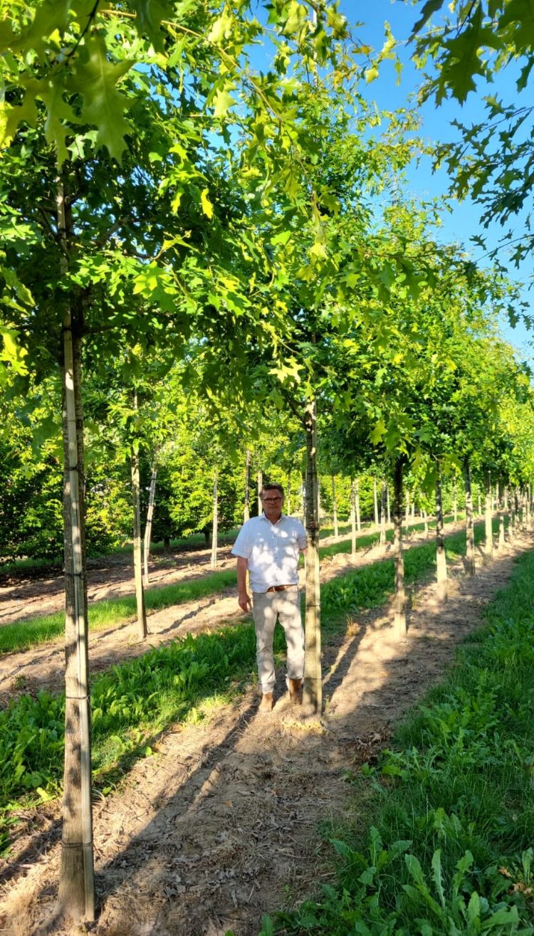 Dick Huibers Dick Huibers