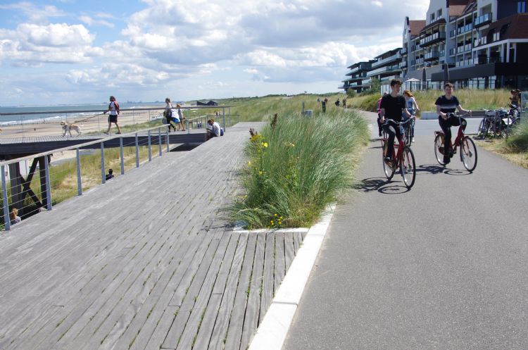 Natuur en aanplant gaan naadloos in elkaar over. Natuur en aanplant gaan naadloos in elkaar over.