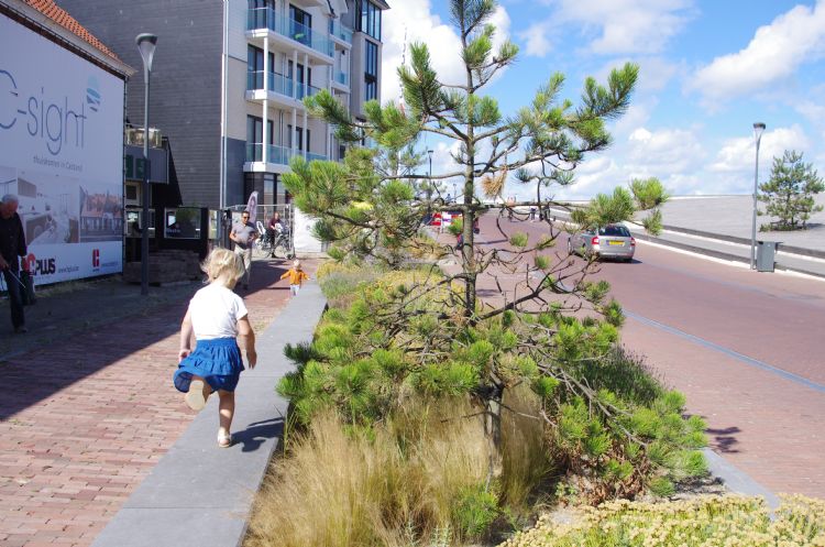 Dichter bij de bebouwing is meer cultuurlijke beplanting. Dichter bij de bebouwing is meer cultuurlijke beplanting.