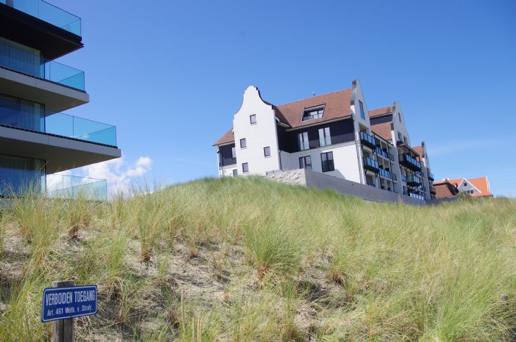 Aangelegd duin is niet van echt te onderscheiden. Aangelegd duin is niet van echt te onderscheiden.