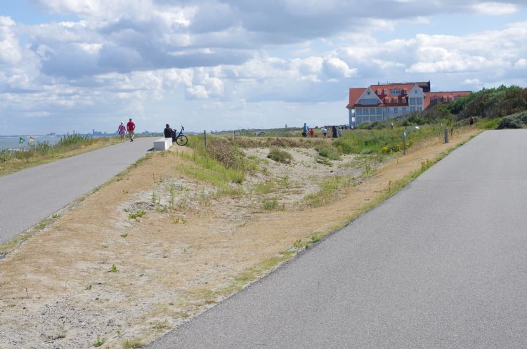 Een kuil is achtergebleven waar een duin twee paden had moeten scheiden. Een kuil is achtergebleven waar een duin twee paden had moeten scheiden.