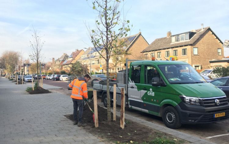 Vierkante boompalen van gerooide Rotterdamse bomen aan de Burgemeester Le Fèvre de Montignylaan in 2020 Vierkante boompalen van gerooide Rotterdamse bomen aan de Burgemeester Le Fèvre de Montignylaan in 2020