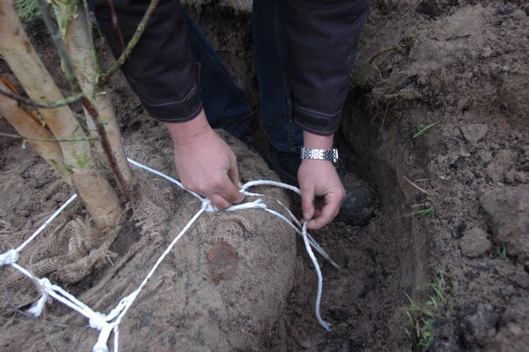 'Als je je veterstrikdiploma hebt, kun je het keeper-systeem ook installeren.' 'Als je je veterstrikdiploma hebt, kun je het keeper-systeem ook installeren.'