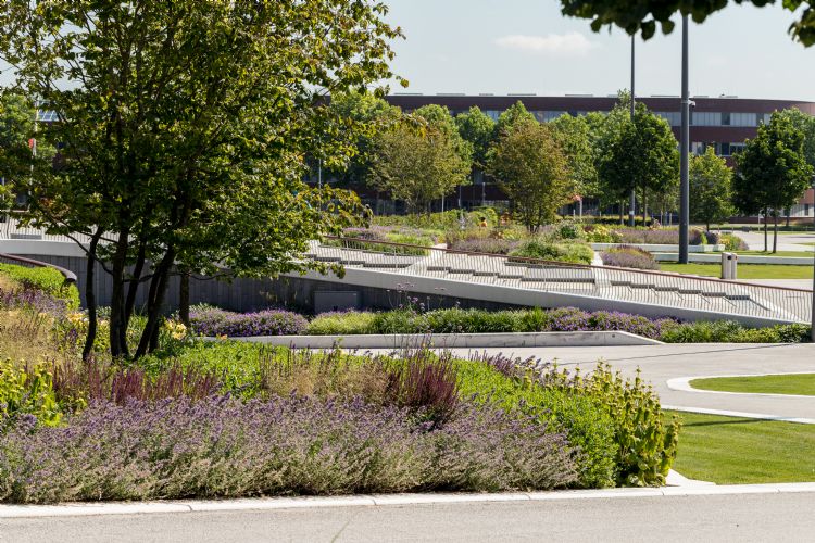 Vasteplantenconcept GreentoColour in stedelijk gebied Vasteplantenconcept GreentoColour in stedelijk gebied