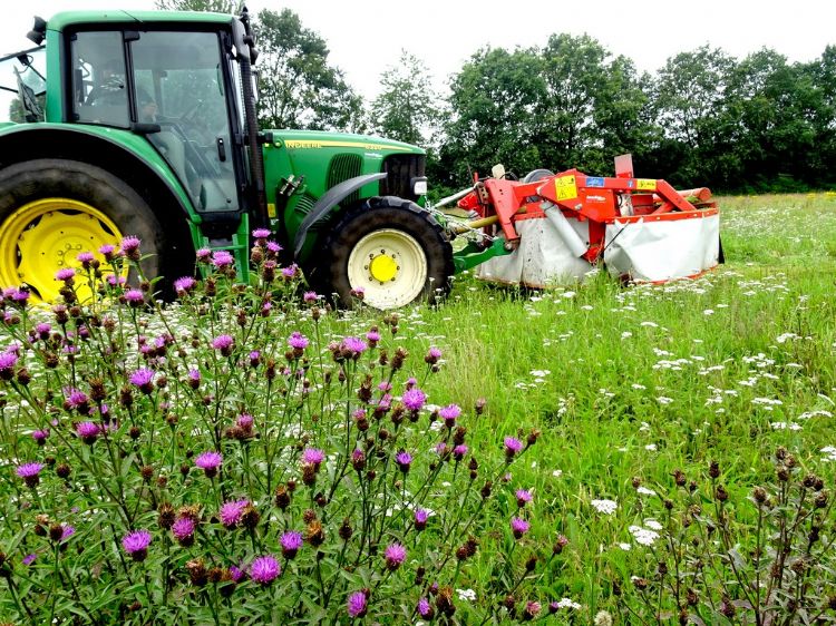 Ecologisch bermbeheer Ecologisch bermbeheer