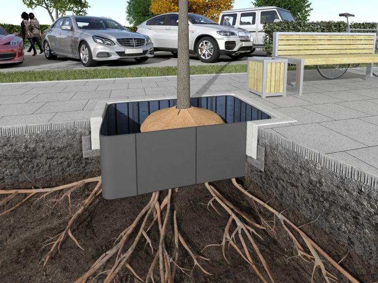 Greenmax levert producten die bomen helpen te overleven in stedelijk gebied Greenmax levert producten die bomen helpen te overleven in stedelijk gebied