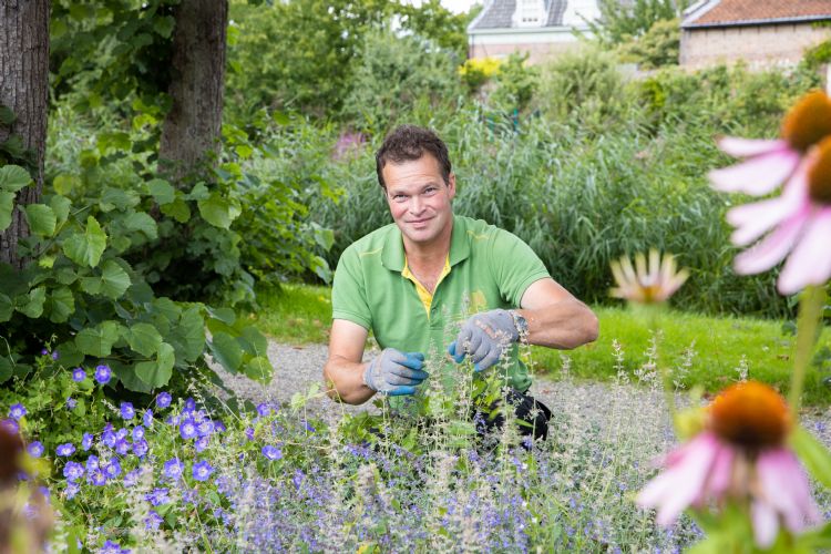 Onderhoud vaste planten gemeente Vijfheerenlanden Onderhoud vaste planten gemeente Vijfheerenlanden