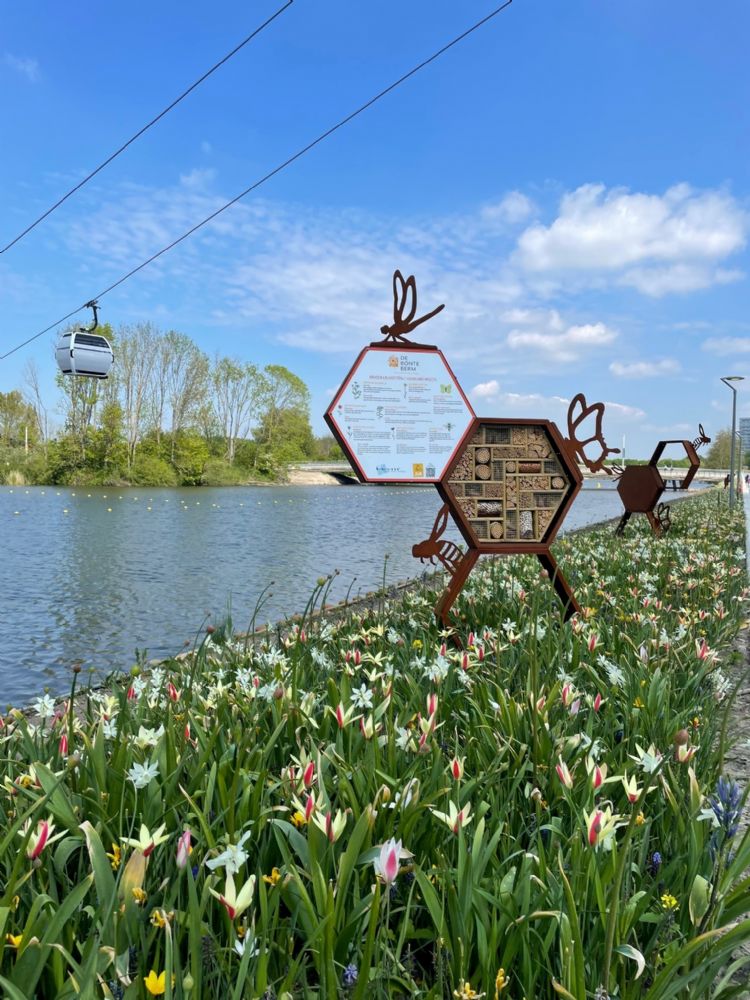 Met een Hotello Insecta krijgen bewoners ook na de aanplant informatie over de beplanting Met een Hotello Insecta krijgen bewoners ook na de aanplant informatie over de beplanting