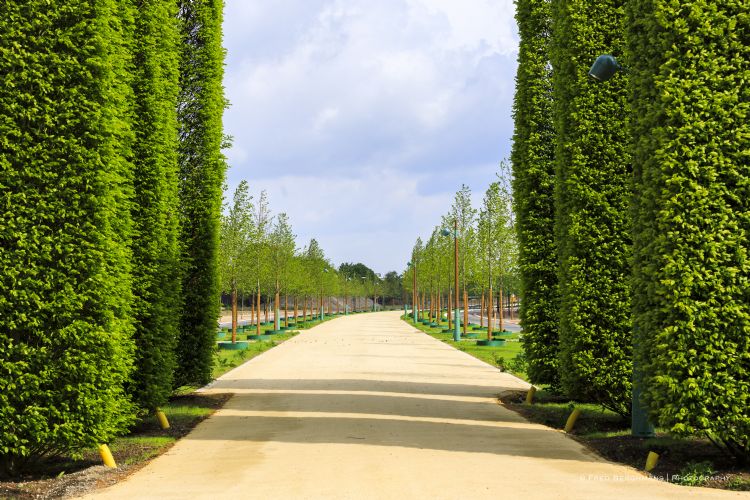 Foto: Groene Steden voor een duurzaam Europa Foto: Groene Steden voor een duurzaam Europa