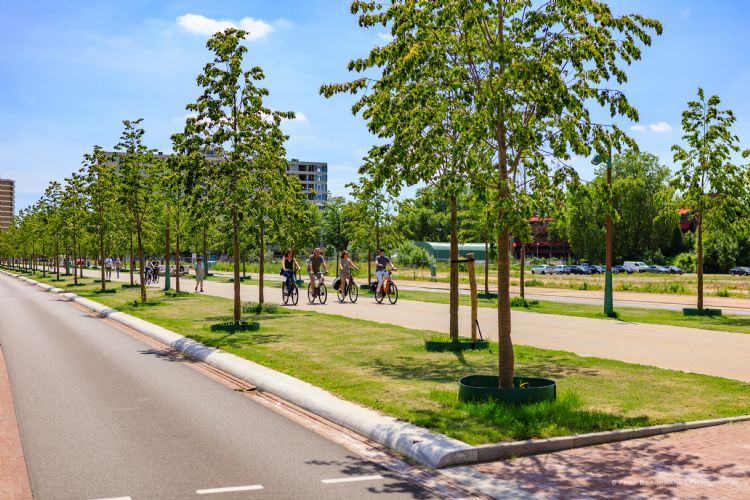 Foto: Groene Steden voor een duurzaam Europa Foto: Groene Steden voor een duurzaam Europa